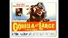 Cameron Mitchell Anne Bancroft U0026 Raymond Burr In Gorilla At Large 1954 Feat Lee Marvin
