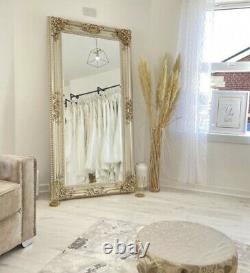 Extra Large Champagne full length mirror