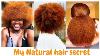 How I Truthfully Grew My Natural Hair Full And Long Grow A Healthy Hair 2020 10 Must Have Products