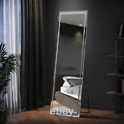 Large Full Length Dressing Mirror with 3 Color LED Light Makeup Bedroom 160×50CM