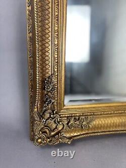 Large Rococo Standing Full Length Vintage Gilt Gold framed mirror