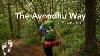 The Avondhu Way 3 Minute Trails