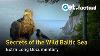 Wildlife And Nature Of The Baltic Sea Extra Long Documentary