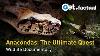 Anaconda Veut L'histoire Inédite Documentaire Complet