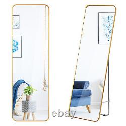 Grande Longueur Miroir En Acier Doré Cadre Dressing Sol Miroir Standing/hanging